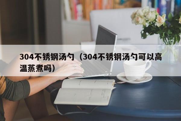 304不锈钢汤勺（304不锈钢汤勺可以高温蒸煮吗）